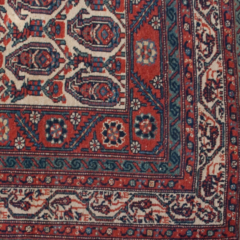 Vegetable Dyed Early 20th Century Nahavand Carpet For Sale