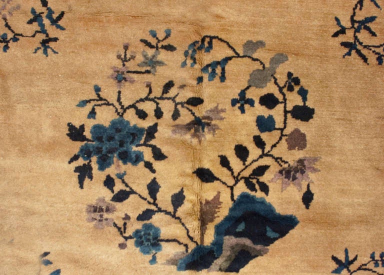 An antique Chinese Peking rug with multiple circular botanical motifs on a champagne field, surrounded by a contrasting floral border.