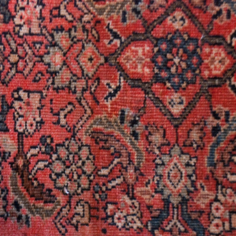 Vegetable Dyed 19th Century Saruk Farahan Carpet For Sale