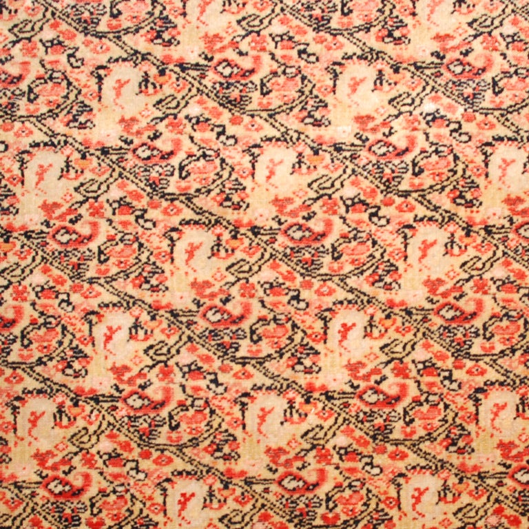 Ein persischer Senneh-Teppich aus dem 19. Jahrhundert mit intensiv gewebtem Blumen- und Rankenmuster und kontrastierender Bordüre.



Maße: 4'2