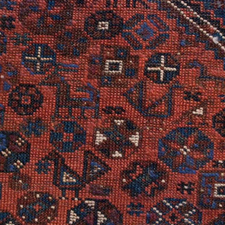 19th Century Afshar Ghashghaei Carpet In Excellent Condition In Chicago, IL