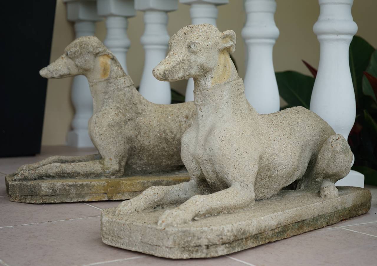 English Pair of Cast-Stone Whippet Dogs, Regency Style,  England, 1890-1920s 