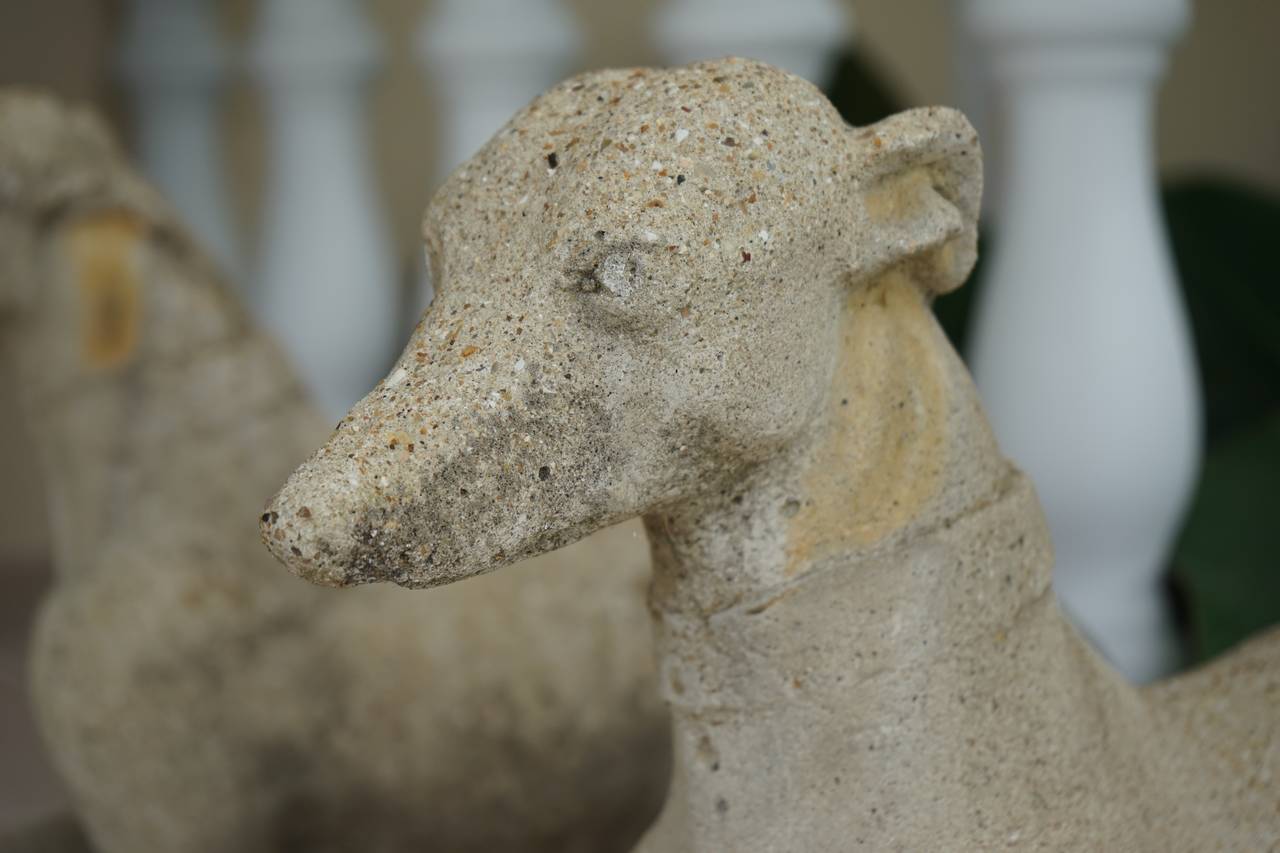 Cast Stone Pair of Cast-Stone Whippet Dogs, Regency Style,  England, 1890-1920s 
