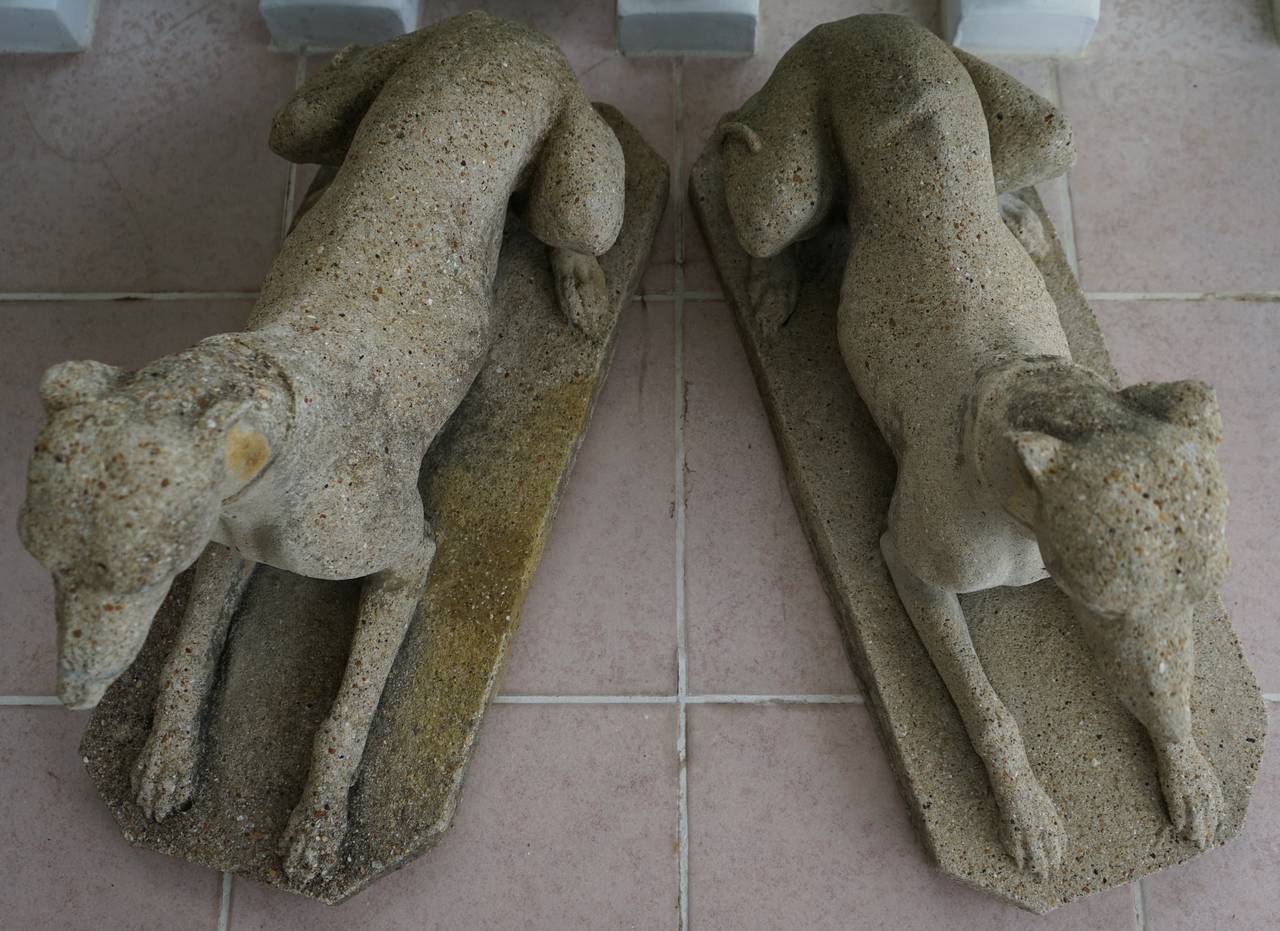 Pair of Cast-Stone Whippet Dogs, Regency Style,  England, 1890-1920s  In Good Condition In West Palm Beach, FL