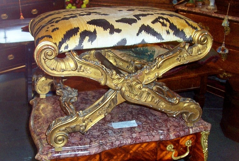 A fine, deeply carved Louis XV style ( rococo ) gilt X frame bench of curule form. Each carved leg two inches thick and profusely carved with scrolls and floral motif . The inside of each leg is carved as the front . Nice gilt patina with some