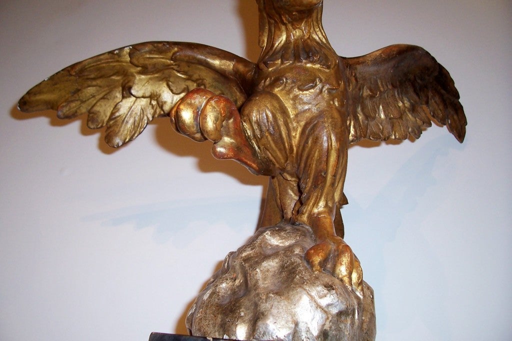 A carved gilt wooden eagle in attack position , perched on silver gilt rock.Finished in surround .

measurements for eagle  11.5