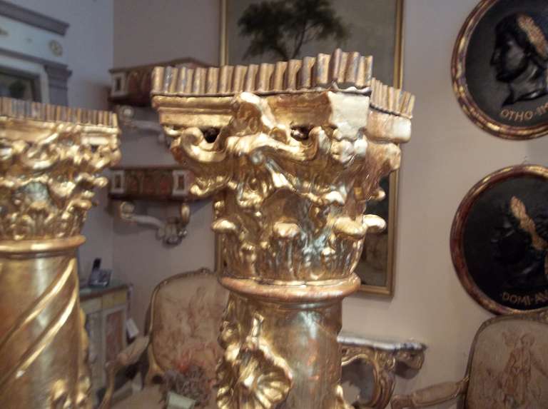 Baroque Pair of Tall Gilt Wood Candlesticks or Torchieres For Sale