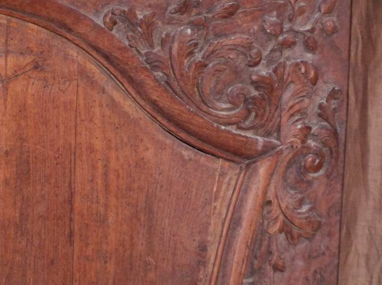 18th Century Louis XV , Rococo Carved  Floral and Fruit  Basket  Walnut Panel 