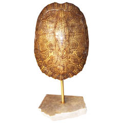 Grande lampe d'appoint en forme de coquille de tortue et marbre