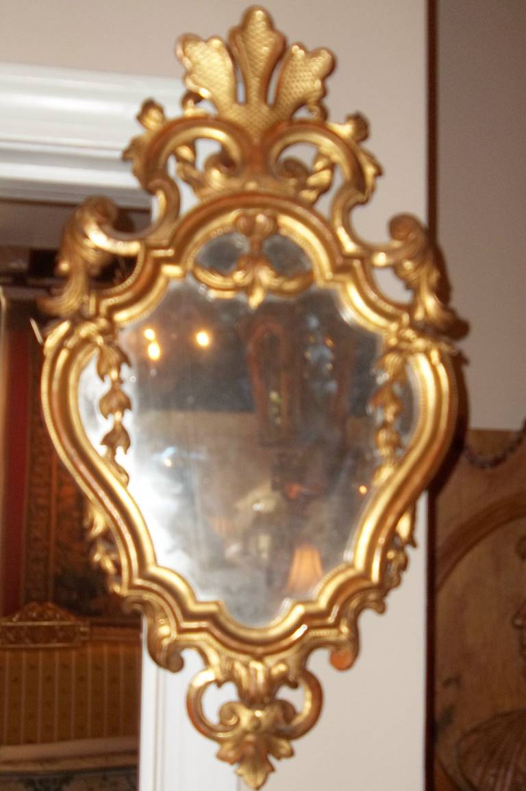 Pair of Louis XV Style Giltwood Mirrors with Sconces in Water Gilt 3