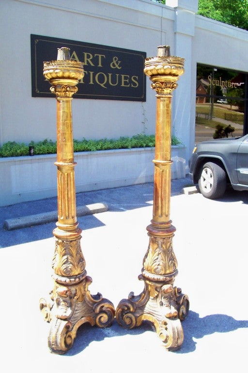 Tall pair of carved and gilded wood torchieres. The bases in contrasting silver and gold gilt leaf. The red bole bleeding largely throughout both sticks.