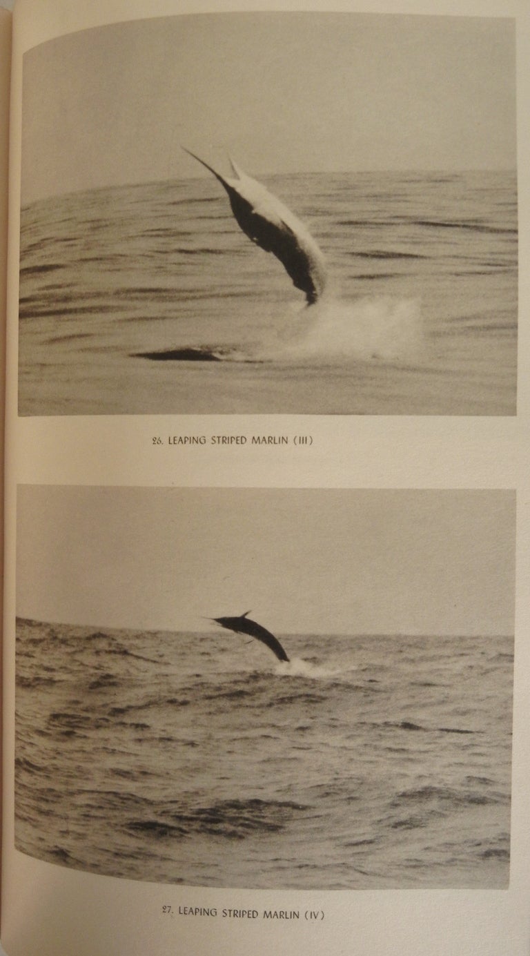 Rare First Edition Zane Grey, 