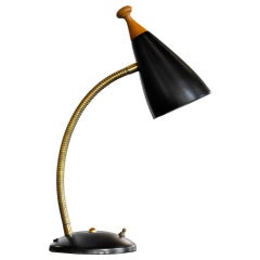 Vintage Adjustable Tynell Style Desk Lamp