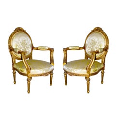 Pair of 19th Century French Arm Chairs - Fauteuil