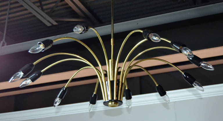Rare Italian chandelier manufactured in Italy, circa 1960s. Featuring 12 curved brass arms ending black enamel sockets. This item has been newly polished, rewired and has had a brand new canopy installed to fit standard j-box.