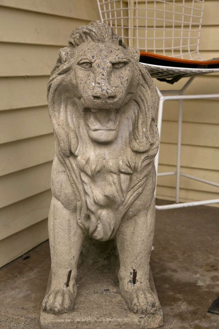 Impressive pair of 1940's cast stone guardian lions. Perfect size for entrance ways, portals or garden proper. Slight corner damage on one base but overall both having a fine worn age petina.