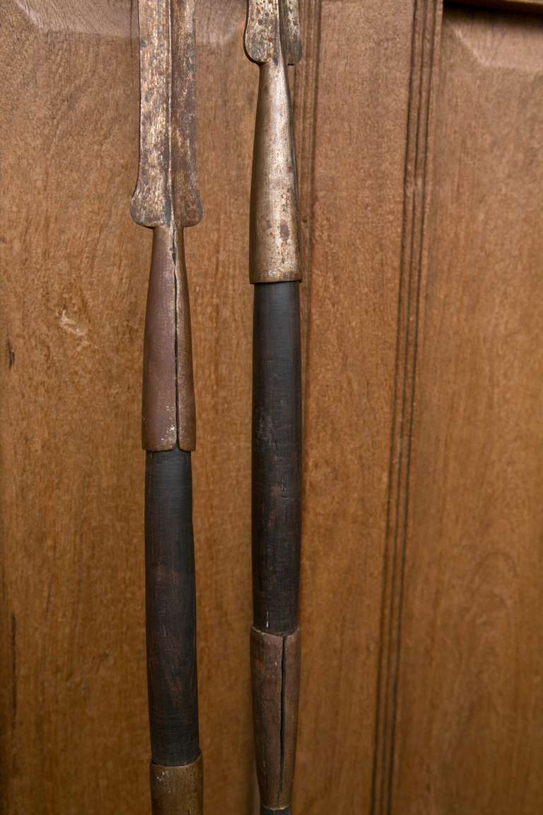 masai spear