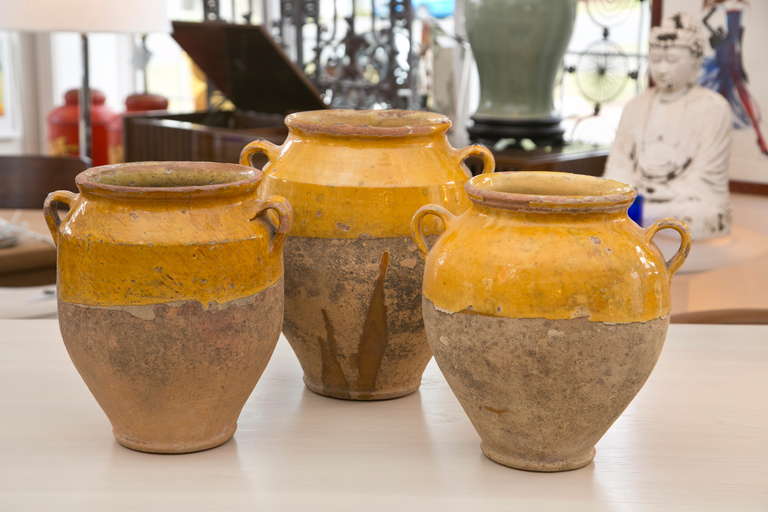 A selection of Antique French confit pots, used for the preservation of meats such as Goose, Duck or Pheasant. Sold individually, all of the pots now have drainage holes in the bottom for planting. There is age appropriate wear as to be expected on