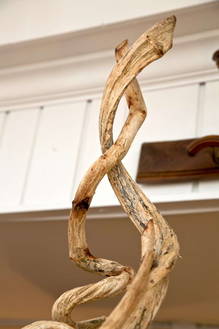 Mid-Century Modern Vintage Twist Root Sculpture