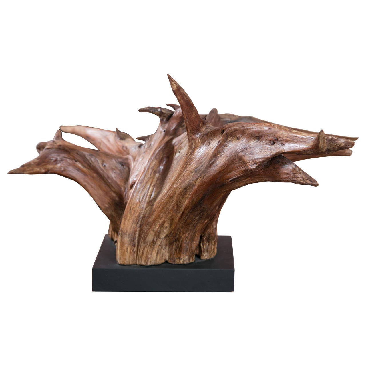 Mounted Driftwood Sculpture at 1stDibs