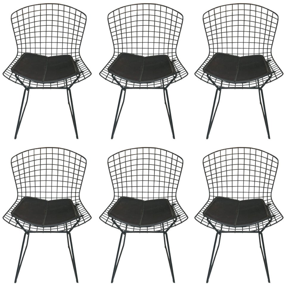 Mid-Century Set of Six Side Chairs, Manner of Bertoia