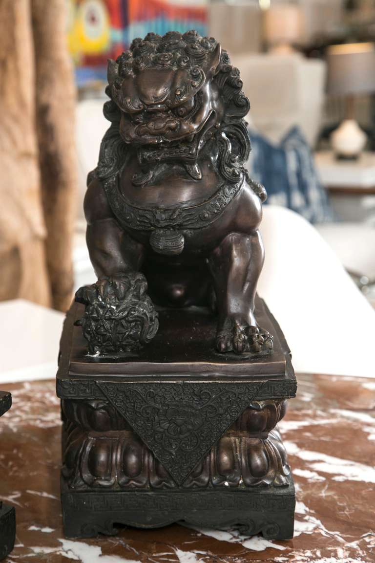 1920's Pair of cast bronze Foo Lion/ Dogs in all original condition.Male and Female, with excellent proportions and a deep, traditional patina. Suitable for any number of Interior, or Exterior uses.