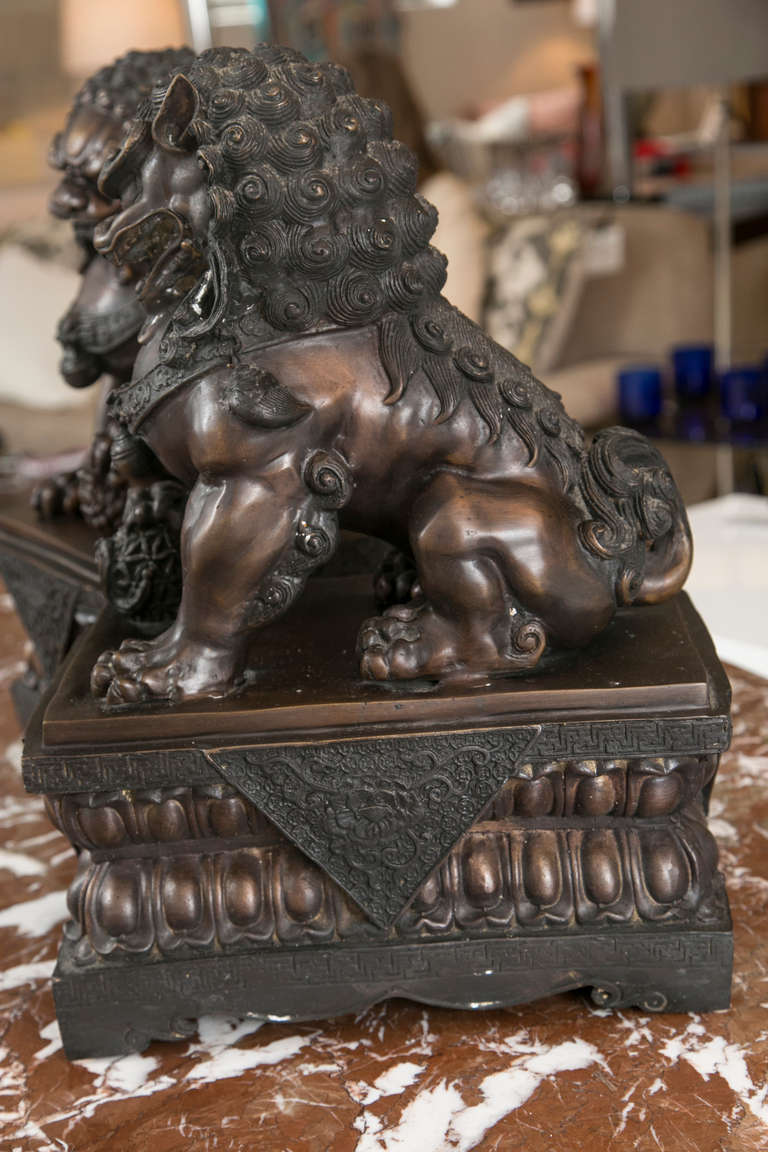20th Century Fine Antique Bronze Foo Lion/ Dog Pair