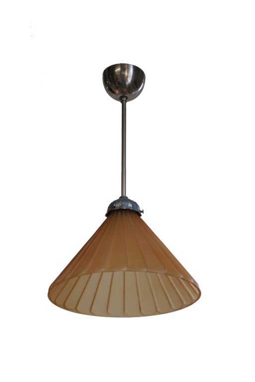 A peach-toned fan shaped shell, suspended from a single nickel plated rod and canopy. The assembly is decorated with olives and branches.