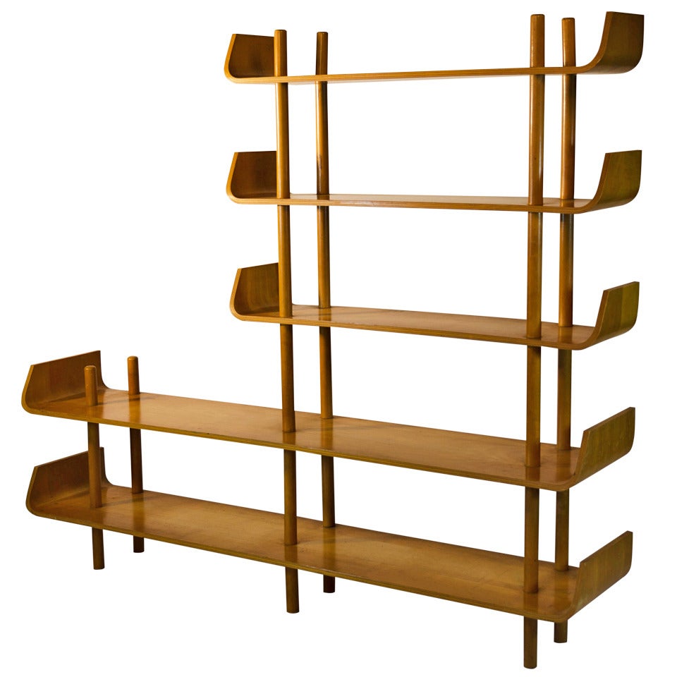 Willem Lutjens Plywood Bookcase for Gouda Den Boer, 1953