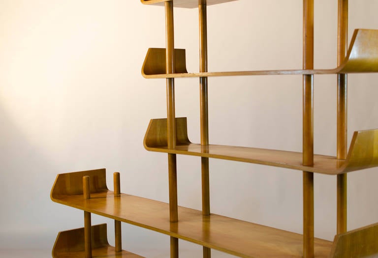 Mid-20th Century Willem Lutjens Plywood Bookcase for Gouda Den Boer, 1953