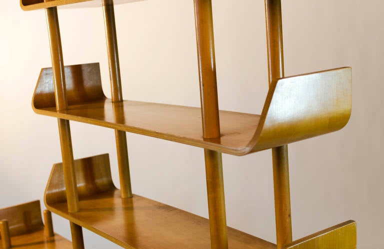 Willem Lutjens Plywood Bookcase for Gouda Den Boer, 1953 1