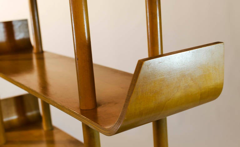Willem Lutjens Plywood Bookcase for Gouda Den Boer, 1953 2