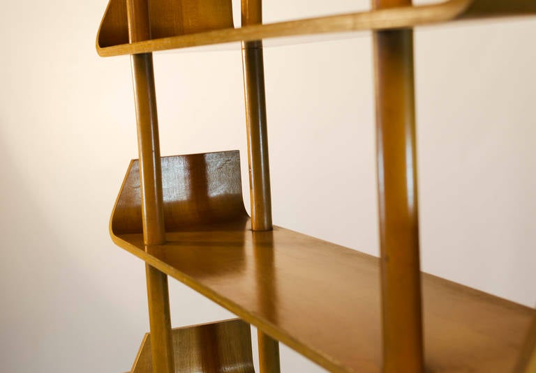 Willem Lutjens Plywood Bookcase for Gouda Den Boer, 1953 3