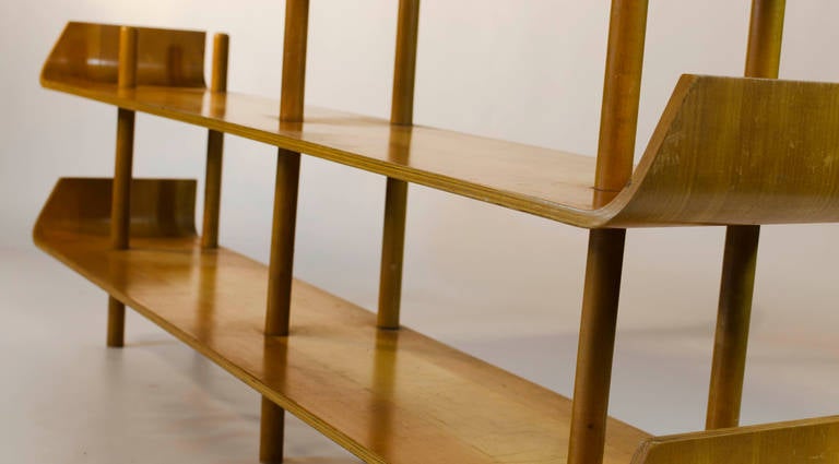 Willem Lutjens Plywood Bookcase for Gouda Den Boer, 1953 4