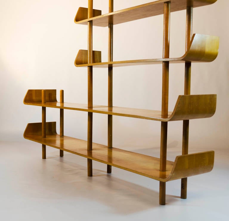Willem Lutjens Plywood Bookcase for Gouda Den Boer, 1953 In Excellent Condition In Amsterdam, NL