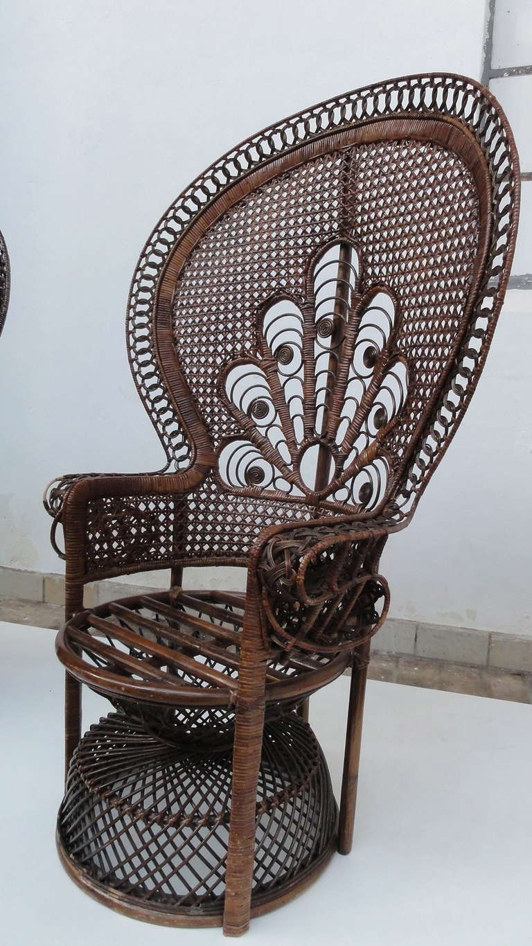 A story on the ''erotic'' history of a peacock chair:

This model wicker peacock chair comes in many varieties dating back to the 1950's when famous Italian designer Carlo Mollino used a similar model in rattan/wicker to make nude polaroids of