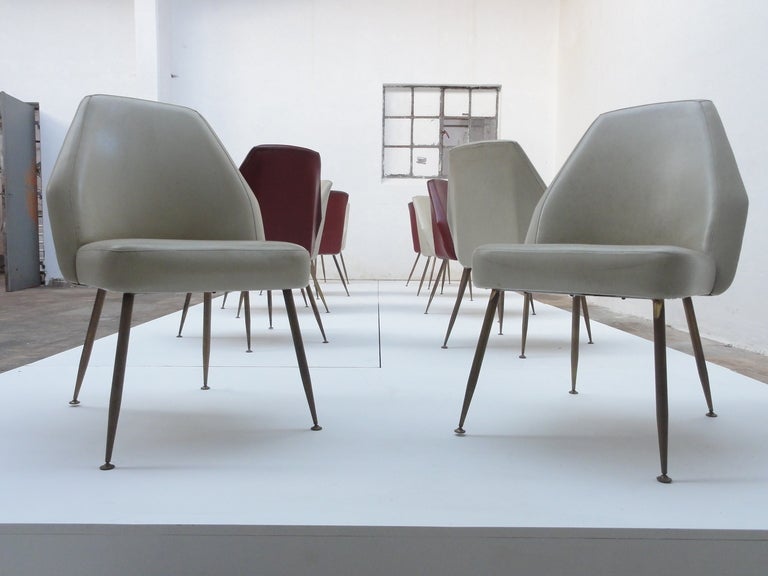 Mid-Century Modern 10 Campanula chairs by Pagani, partner of Ponti and Linda Bo Bardi, Arflex, 1952