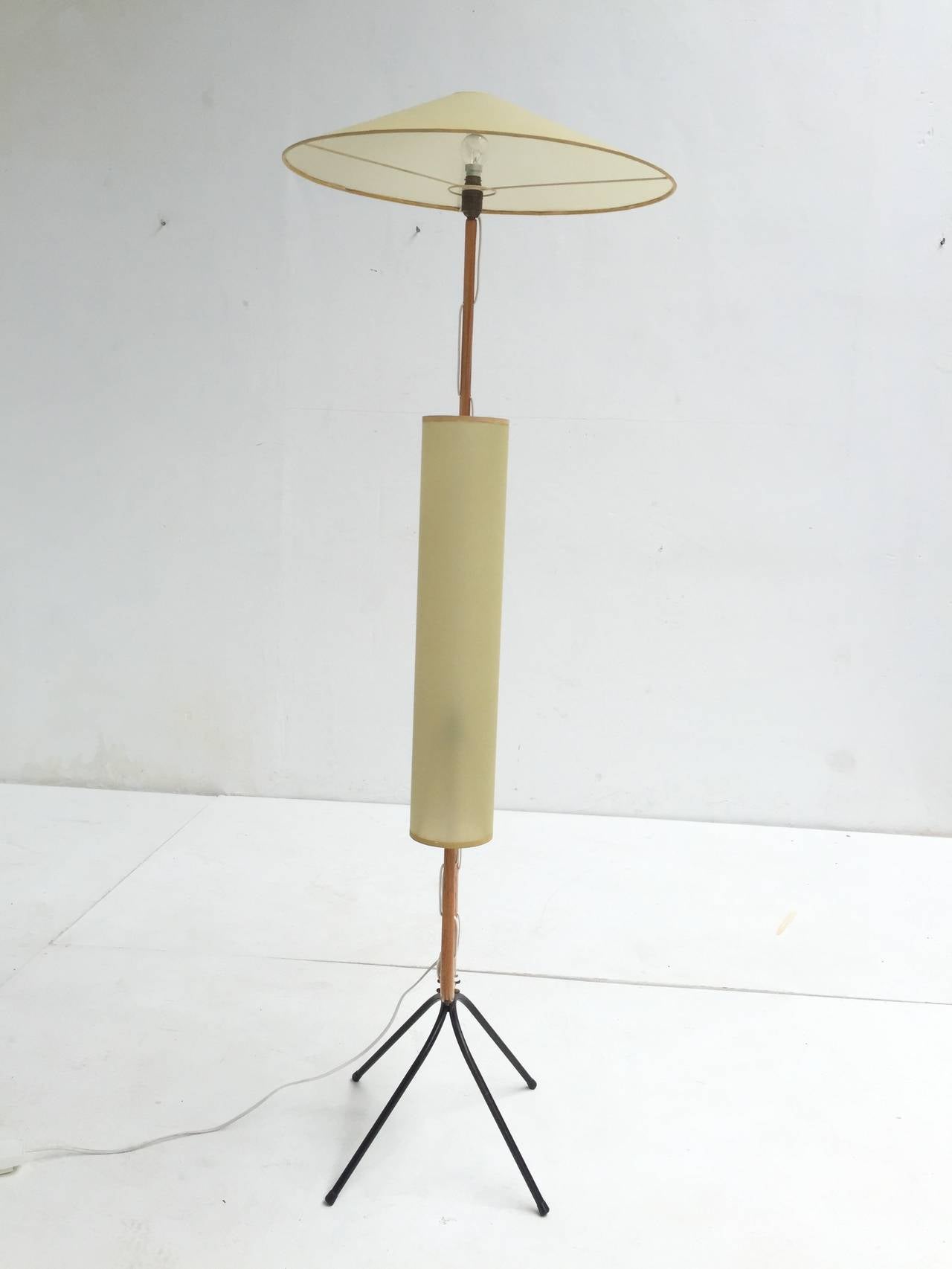 Mid-Century Modern Stunning Biomorphic Sculptural Lamp by Rispal, France 1950