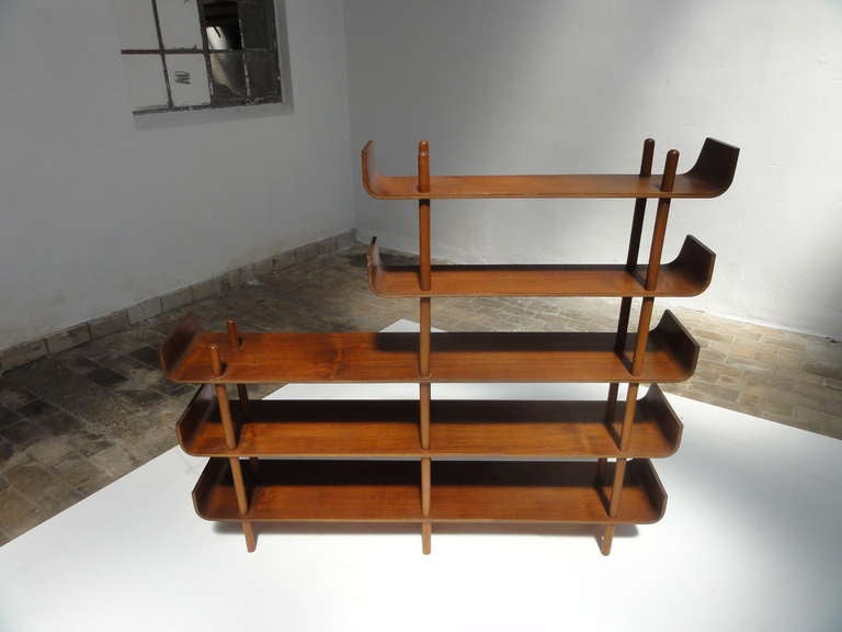 Dutch Rare teak plywood shelving by Wilhelm Lutjens for De Boer Gouda