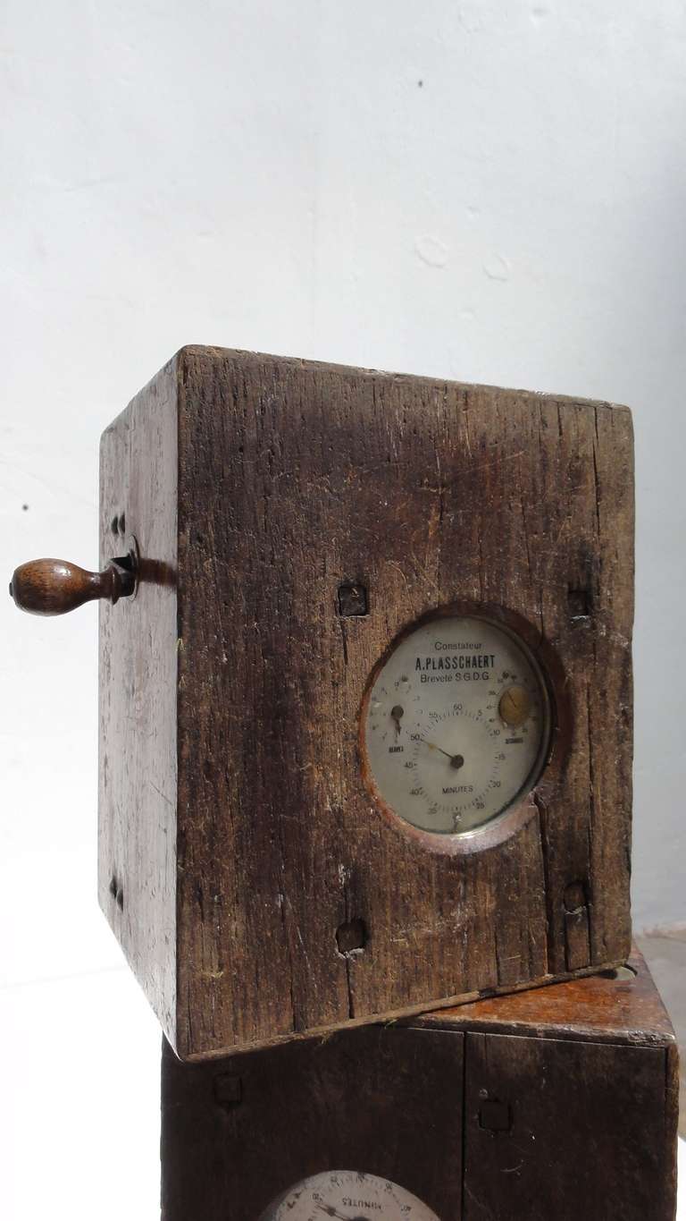 Hardwood Decorative Collection of Twelve Antique ''Plasschaert Frere'' Pigeon Race Clocks