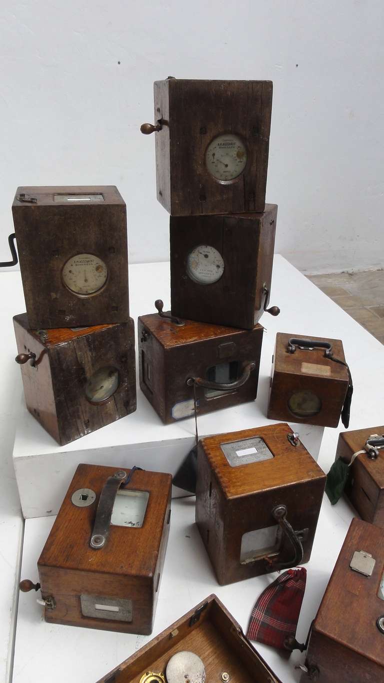 Decorative Collection of Twelve Antique ''Plasschaert Frere'' Pigeon Race Clocks 1