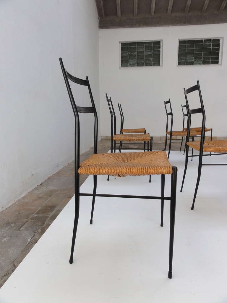 10 Superleggera style chairs attributed to Gio Ponti , Bijenkorf In Good Condition In bergen op zoom, NL