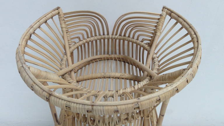 Rattan Peacock Chair in the Style of Franco Albini and Gio Ponti 2