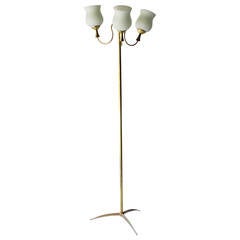 Elegant Italian Floor Lamp by Arredoluce 7