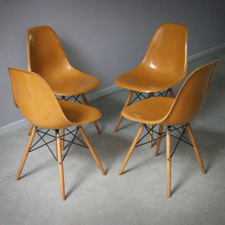 Dining height Side chair Wood. Chair designed by Charles and Ray Eames, 1950. The DSW is part of the 'Plastic Group'. Four original vintage fiberglass chairs in a beautiful rare color. The bases (dowel base) of walnut seems less old than the shells