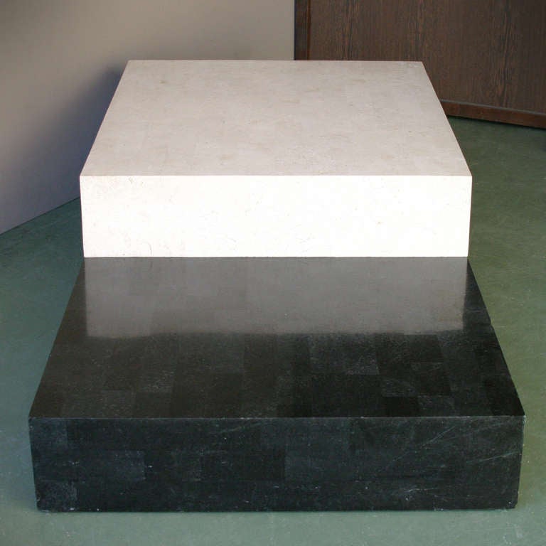 Architectural Minimal Coffee Table