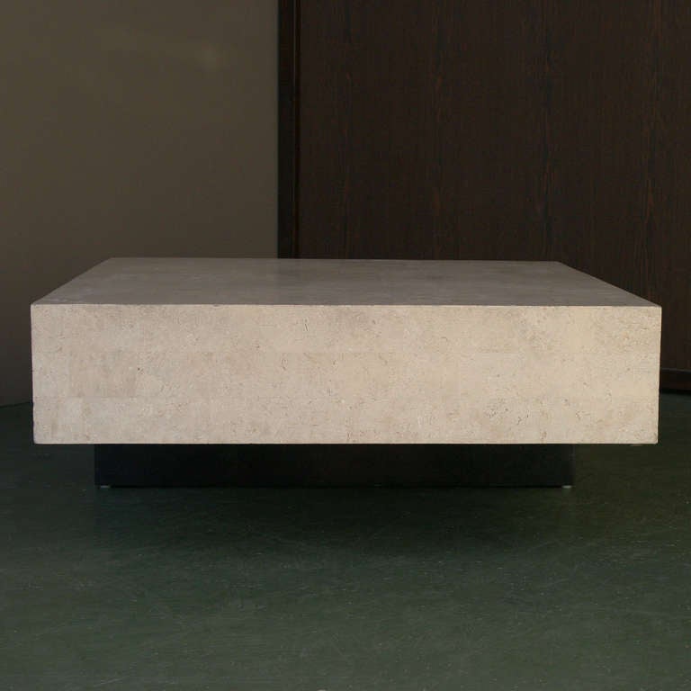 Architectural Minimal Coffee Table 2