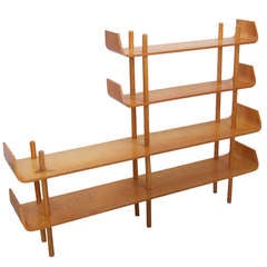 Willem Lutjens Bookcase for Gouda den Boer 1953