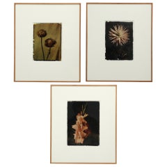 Series Of 3 Unique And Original 1920s Flower Pictures By Leendert Blok