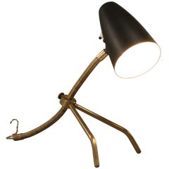 Flexible Goose Neck and Tail Table/Wall Lamp